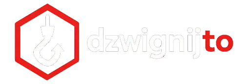 logodzwignijtofooterwhite